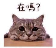 839165135