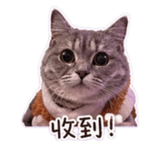 839165141