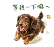 839166382