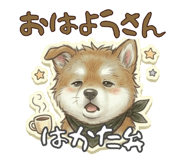 839166554