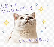 839168719