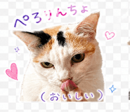 839168721