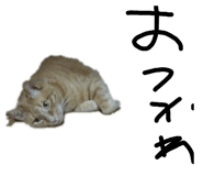 839169141