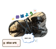 839169388