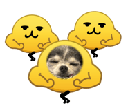 839169444