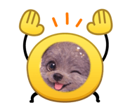839169636