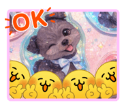 839169637