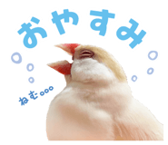 839169788
