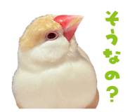 839169801