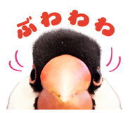 839169809