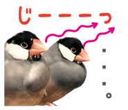 839169811