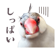839169813