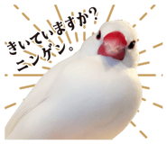 839169821