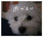 839169853