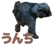 839170041