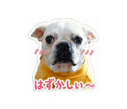 839170343