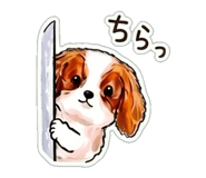 839170371