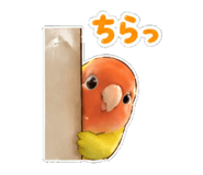 839171136