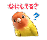 839171146