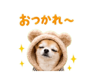 839171266