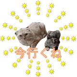 839171303