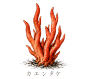 839172033
