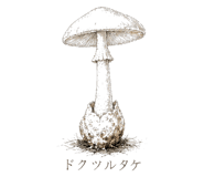 839172034