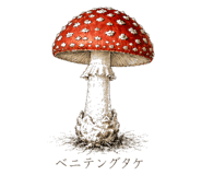 839172035