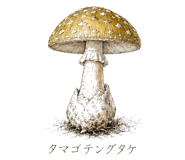 839172038