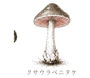 839172040