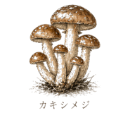 839172041