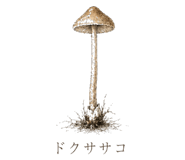 839172043