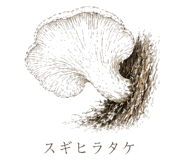 839172044