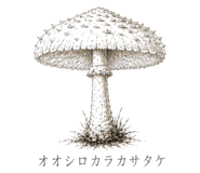 839172045