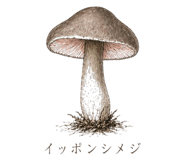839172046