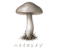 839172047