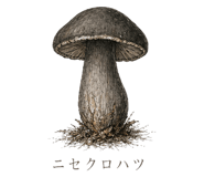 839172048