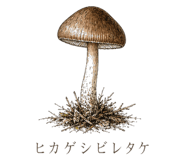 839172051