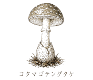 839172056