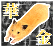 839173248