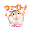 839173720