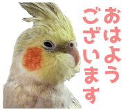 839175073