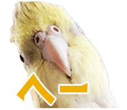 839175078