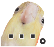 839175083
