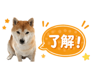 839176065