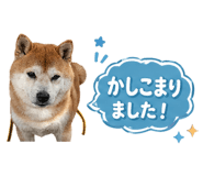 839176068