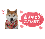 839176070