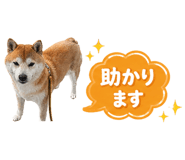 839176071