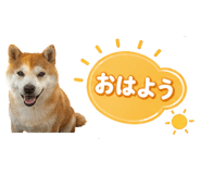 839176074
