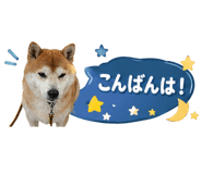 839176077